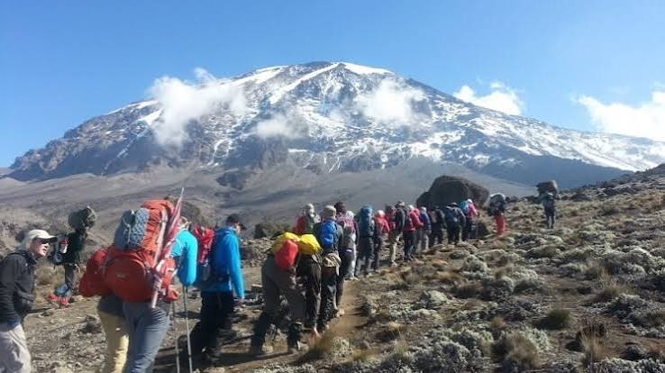 Marangu Route Kilimanjaro