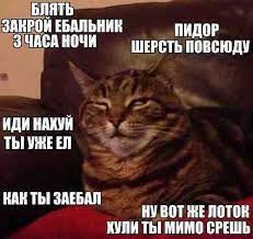 Чипгпипии ПИД0Р 3 ЧАСА НОЧИ ШЕРСТЬ ПОВСЮДУ ИДИНАХУЙ ТЫ УЖЕ ЕЛ ХУЛИ ТЫ МИМО  СРЕШЬ / котаны :: ты никто без своего костюма :: моё лицо когда твой хозяин  идиот :: живность ::