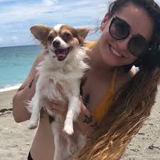 Fundraiser by Caterina Sevares : Charlie Brown's IVDD Treatment