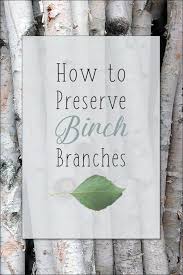 Birch Tree Branches For Sale How To Preserve Birch Tree Branches Birch Tree Decor Christmas Birch Tree Decor Birch Wood Crafts