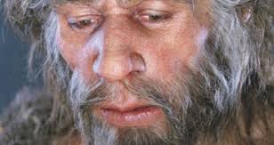 Neandertalci jeli poluprobavljene sastojke koje bi pronašli u utrobama  životinja