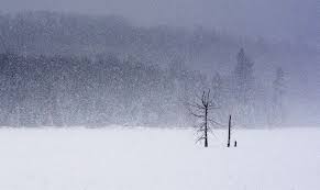 Clay monkey looks at the snow falling. The Science Of Snow Ncpr News