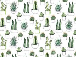 Cactus Design By Crumpetsandcrabsticks On Tumblr Watercolor Cactus Succulent Art Cacti And Succulents We choose the most relevant backgrounds for different devices: watercolor cactus succulent art