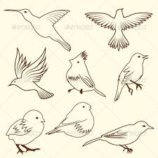 Set Of Different Bird Sketches Bird Sketch Bird Doodle Bird Outline