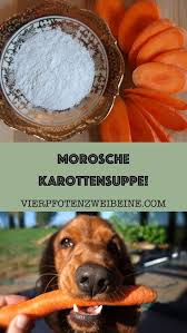 Morosche Karottensuppe Karottensuppe Karotten Karottensuppe Rezept