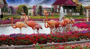 مواعيد حديقة الزهور دبي الرسوم محدث 2020 عطلتي