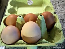 Sementara telur ayam negeri warna kuningnya lebih cerah. Wowww Pertama Kali Nemu Telur Ayam Kembar Pursuing My Dreams