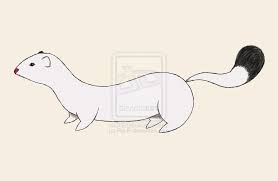 White Ermine By Ria Pi On Deviantart Ermine Stoat His Dark Materials