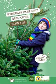 Traditionell an heiligabend, besser noch am 23. Weihnachtsbaum Online Kaufen Zum Wunschtermin Bestellen Weihnachtsguru De