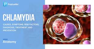 Image result for chlamydia symptoms
