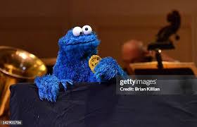 Image result for tbn:O_xs3byc5x8NoM::www.suusje.com/pics/cookiemonster.jpg