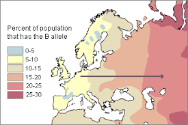 Blood types, genetics(dna), & migration patterns determine the dynamics of biological race. Modern Human Variation Models Of Classification