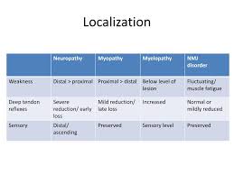 Image result for Neurologic Lesion Localization