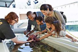 1 CALIFORNIA INFRASTRUCTURE AND ECONOMIC DEVELOPMENT BANK (IBank) CONDUIT  501(c)(3) REVENUE BOND FINANCING PROGRAM STAFF REPORT