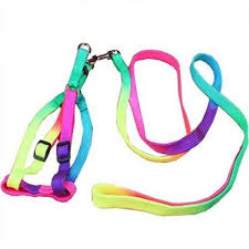 Maybe you would like to learn more about one of these? Pets Empire Dog Cat Rainbow Colorful Adjustable Nylon Puppy Leash Harness Size Small Dog Harness Leash Price In India Buy Pets Empire Dog Cat Rainbow Colorful Adjustable Nylon Puppy Leash
