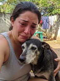 Gaining trust of a scared dog