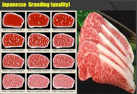 Beef Knowledge