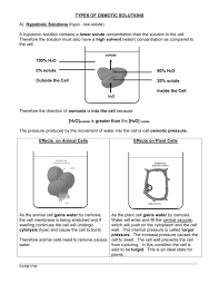 Lose water by osmosis and shrivel. Types Of Osmotic Solutions Plant Cell