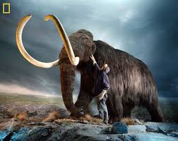 6 Extinct Animals That Could Be Brought Back To Life Extinct Animals Wooly Mammoth Animals