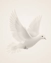 Obituary information for Eugene Vernon "Shifty" Schaefer