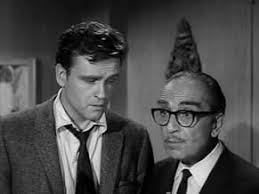 Honey West (TV Series 1965–1966)