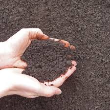 All the types of soil might seem the same to some and comparing topsoil vs garden soil can be tough but the type of results you get from your garden majorly depends upon the kind of soil you use. Greely S Screened Topsoil Greely Sand Gravel Inc