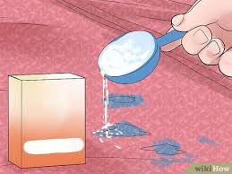 3 Ways To Get Rid Of Carpet Mold Wikihow Life