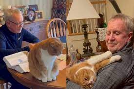 Our surviving sister looks and acts very healthy at this time. Cat Cares For Cancer Patient In Incredibly Moving Friendship Tag24