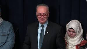 Image result for senator schumer