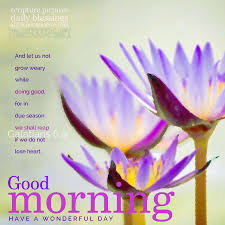 Good Morning Galleries Morning Devotion Good Morning Beautiful Quotes Good Morning Messages