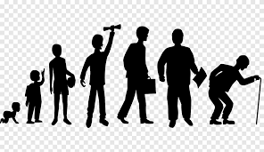 Biological life cycle Birth Death, Human Life, text, public Relations png | PNGEgg