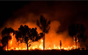 Binance pledges $1.5 million for coronavirus victims. Bitcoin For Charity Btc Donations Are On For Australian Bush Fires