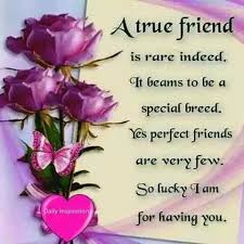 Good Morning True Friends Special Friend Quotes Friendship Quotes