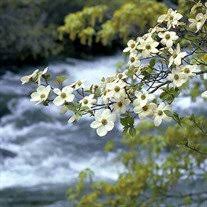 Helen Fried Obituary