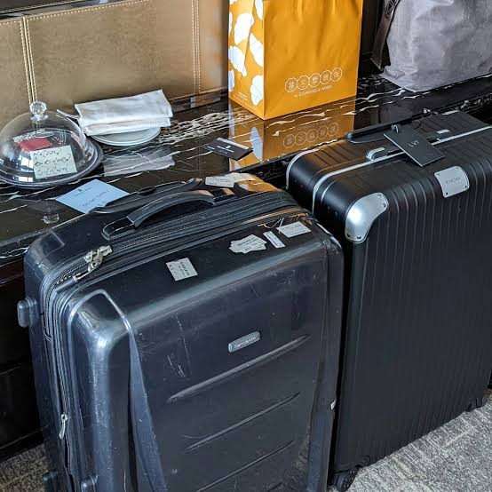 Feature: Lost My Rimowa to Bologna - My Nightmare Suitcase Theft In Italy | Secret Life of Fatbacks