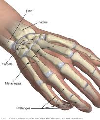 Check spelling or type a new query. Broken Hand Symptoms And Causes Mayo Clinic