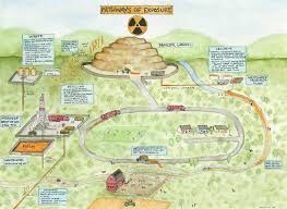 Animal studies suggest that uranium may affect reproduction, the developing fetus, and increase the risk of leukemia and soft tissue cancers. Radiation Resource Center For Coalfield Justice