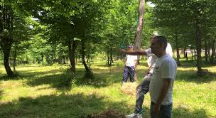 O oaza de liniste in inima naturii. Bookfast Ro Cabana Ferma Stana Dacilor Slanic Moldova Romania