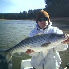 Allatoona Giant Blue Catfish Caught Near Sweetwater Campground - Georgia  Outdoor News