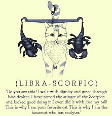People born between virgo and libra tend to be super charismatic, creative, sensitive, intelligent, and kind. Ideas Of Beauty October 22 Libra Scorpio Cusp You Should Embrace