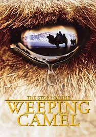 View all the story of the weeping camel (2003) lists (27 more). The Story Of The Weeping Camel Movie Fanart Fanart Tv