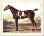 Sir archy was bred by colonel john tayloe iii of mount airy in virginia in partnership with captain archibald randolph of ben lomond, in. Sir Archy