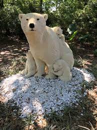 Houston Zoo On Sept 9 2017 Houston Zoo Polar Bear Animals
