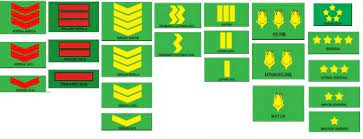 Ketibaan tan sri ptd, yang diiringi asisten ketua staf ketika ini pangkat tertinggi yang disandang oleh wanita tdm dalam tugas am adalah pangkat kolonel. 23 Urutan Pangkat Tni Ad Al Au Beserta Tanda Kepangkatannya Lengkap Salamadian