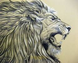 I made this cool outline drawing as a guide for you to create a. How To Draw A Lion Front View Novocom Top