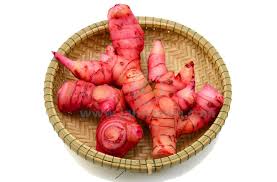 Manfaat Jahe Merah Jahe Merah Herbal