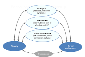 Maybe you would like to learn more about one of these? The Relationship Between Childhood Obesity And Educational Outcomes The Heavy Burden Of Obesity The Economics Of Prevention Oecd Ilibrary