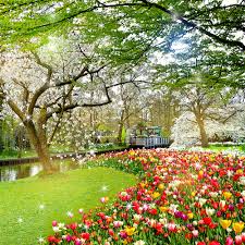 Gambar pemandangan alam yang indah menakjubkan. Download Beautiful Garden Wallpaper Apk Latest Version For Android