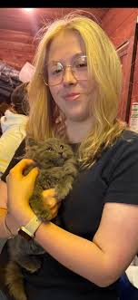 Kittens available for adoption in Winooski