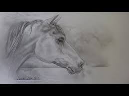 Hoe Teken Je Een Paardenhoofd De Schaduwen Dieren Tekenen Geschilderde Paarden Paard Tekeningen